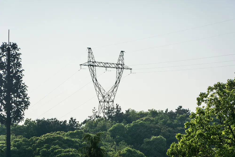 Strommast mit Leitungen über einem Waldrand